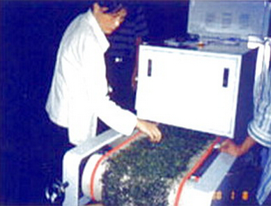 微波茶葉快速殺青干燥設(shè)備