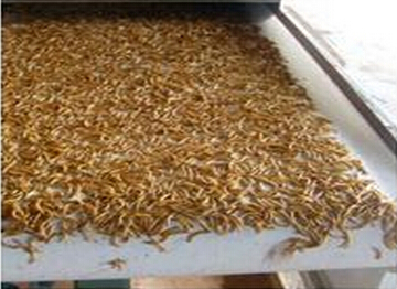 微波食品膨化設(shè)備